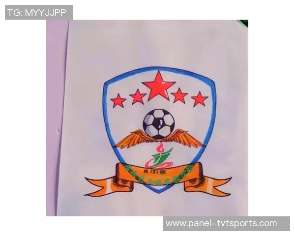 小学足球队队徽设计理念与创意展示助力青少年足球发展